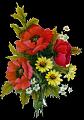 fleurs et nature (57)